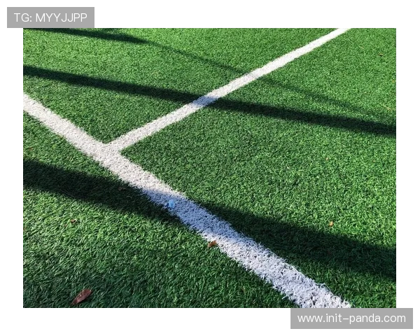 朗斯主场草坪升级，采用混合草皮技术