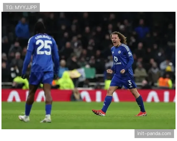 热刺2-1逆转莱斯特城,最后时刻定位球防守失误致胜 热刺2-1逆转莱斯特城,最后时刻定位球防守失误致胜